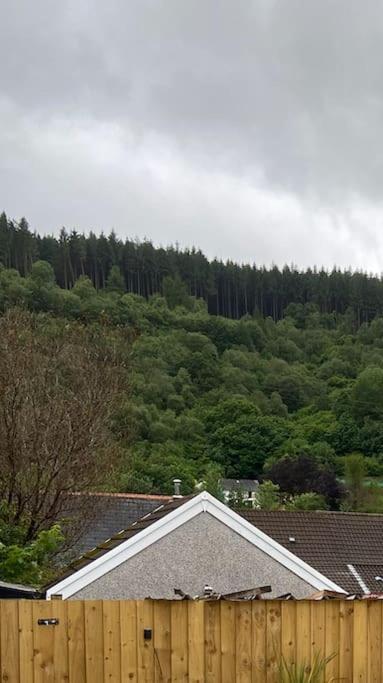 Brynhyfryd Cottage Aberaman 외부 사진
